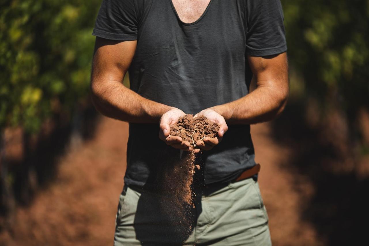 Chateau Saint Roux Le Luc-Le Cannet Des Maures エクステリア 写真