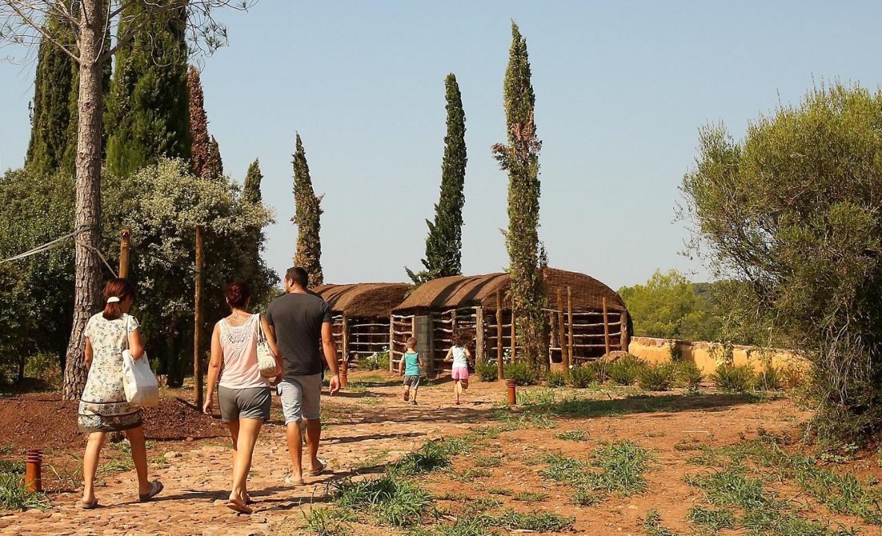 Chateau Saint Roux Le Luc-Le Cannet Des Maures エクステリア 写真